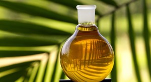 Вредно ли пальмовое масло?