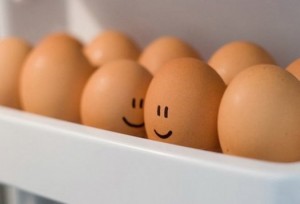 Вредны ли яйца?
