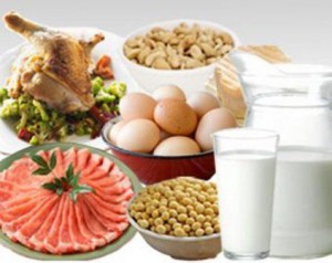 Вредна ли белковая диета?